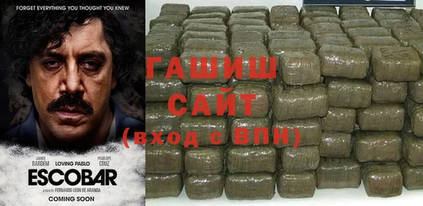 spice Ельня
