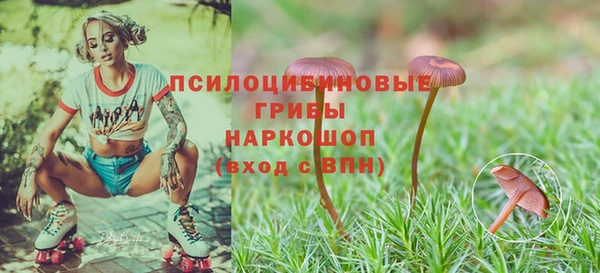 хмурый Елабуга
